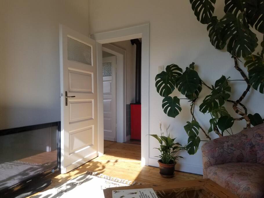 Ferienwohnung Alte-Schule-Kail Wohnung 2 Екстериор снимка