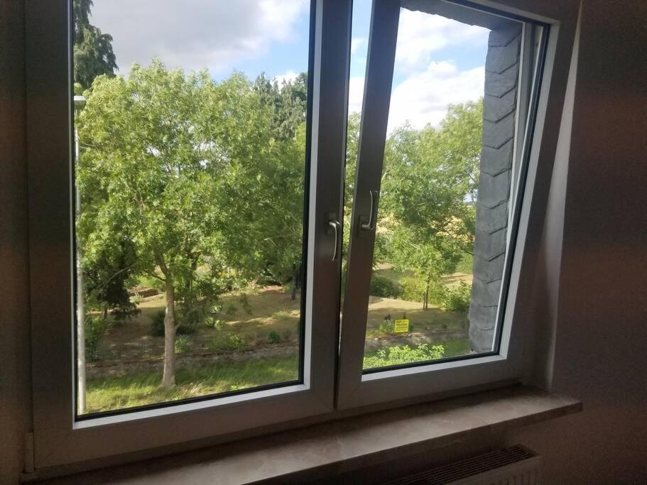 Ferienwohnung Alte-Schule-Kail Wohnung 2 Екстериор снимка